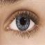 Sterling Gray - Freshlook Colorblends