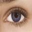 True Sapphire - Freshlook Colorblends
