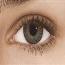 Turqoise - Freshlook Colorblends