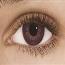 Amethyst - Freshlook Colorblends - Fargelinser