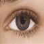 Blue - Freshlook Colorblends