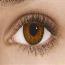 Brown- Freshlook Colorblends