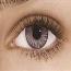 Gray - Freshlook Colorblends