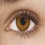 Honey - Freshlook Colorblends
