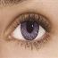 Misty Gray - Freshlook Colors