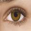 Pure Hazel - Freshlook Colorblends