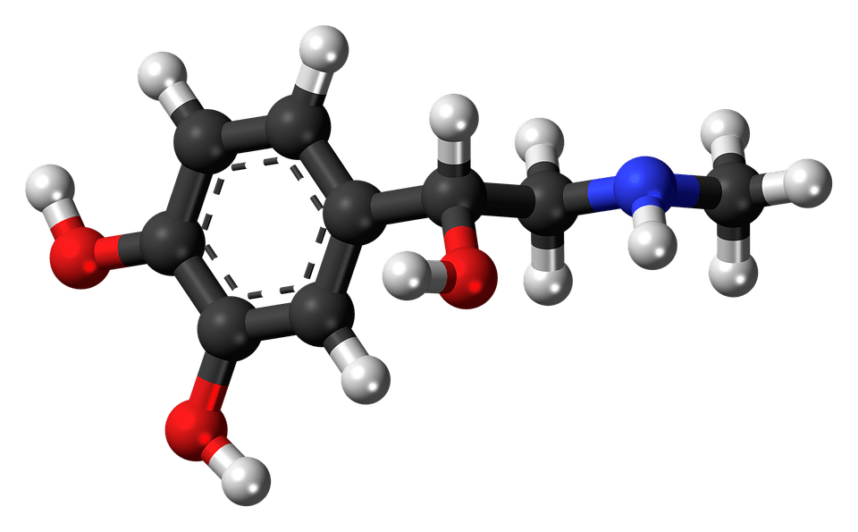 Antimikrobielle linser